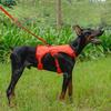 Pet Dog Traction Vest, Dog Walking Leash