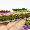 Railway Train Static Flower Tufts ABS Plant Materials Flower Grass Model  Micro Landscape