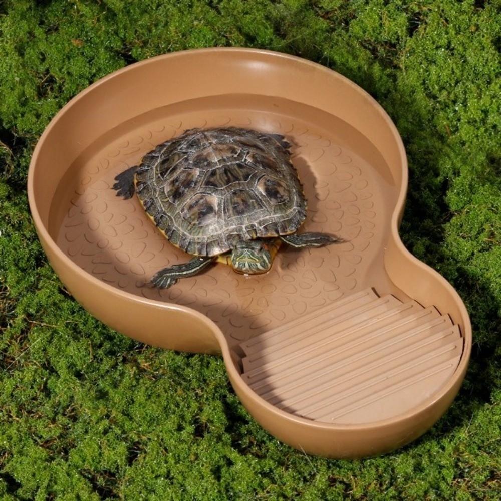 Wide Mouth Tortoise Food Bowl With Ramp Turtle Pond Landscaping Reptile Bathing Pool Habitat Decor