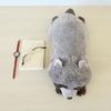 Sun Arrow Cushy Raccoon Plush Toy