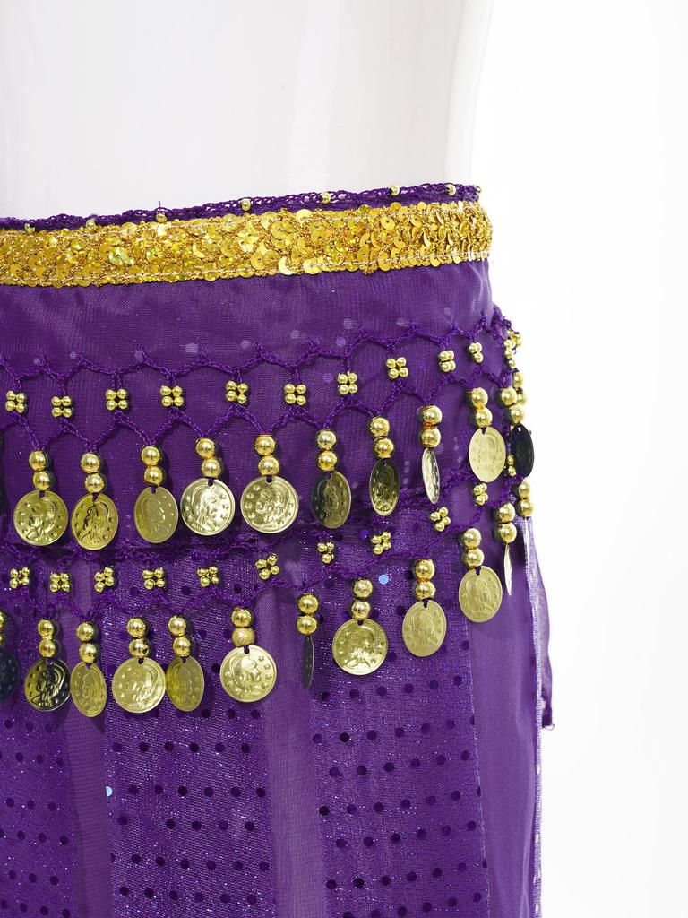 Girls Elegant Belly Dance Pants Sequin Embellished Chiffon Fabric Elastic Waist Beaded Tassels Performance Wear