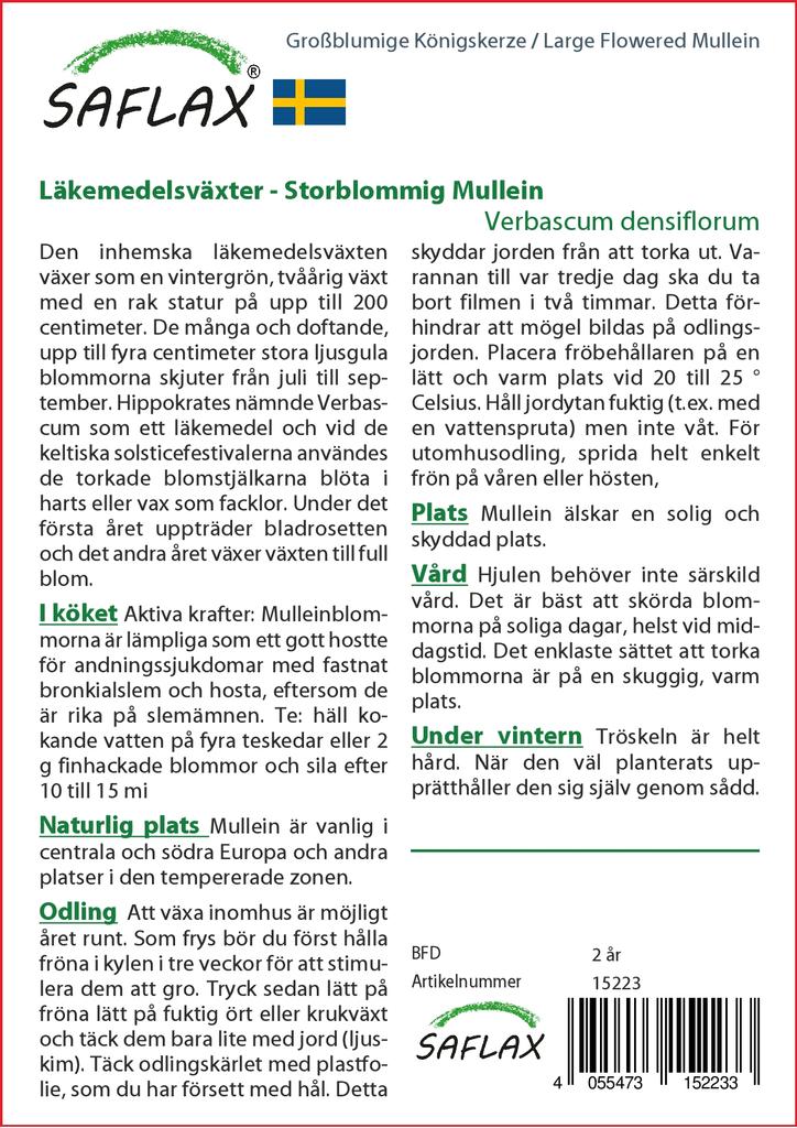 SAFLAX Garden in the Bag - Коровяк крупноцветковый - 500 семян - С субстратом в подходящем мешке - Verbascum densiflorum