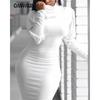 Women's Dress Autumn New Sexy High Neck Long-sleeved Dress Slim Package Hip Dresses