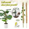 Plant Climbing Frame Coconut Shell Moss Palm Cane Gardening Coconut Rod Stretch Plant Climbing Pole Indoor Plant Creeper