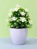 1pc Mini Fake Plants Artificial Potted Eucalyptus Faux Plants For Home Office Farmhouse Bathroom Table Shelf Decor Indoor