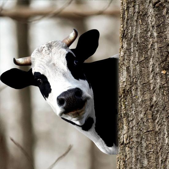 3D металлический настенный декор с животными, лошадь, корова, жираф, настенный кулон, нержавеющая кованая настенная статуя, произведение искусства, украшение для дома и улицы