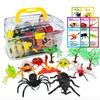 Jungle Insect Exploration Animal Insect Model + Educational Card, Popular Toys In Korea