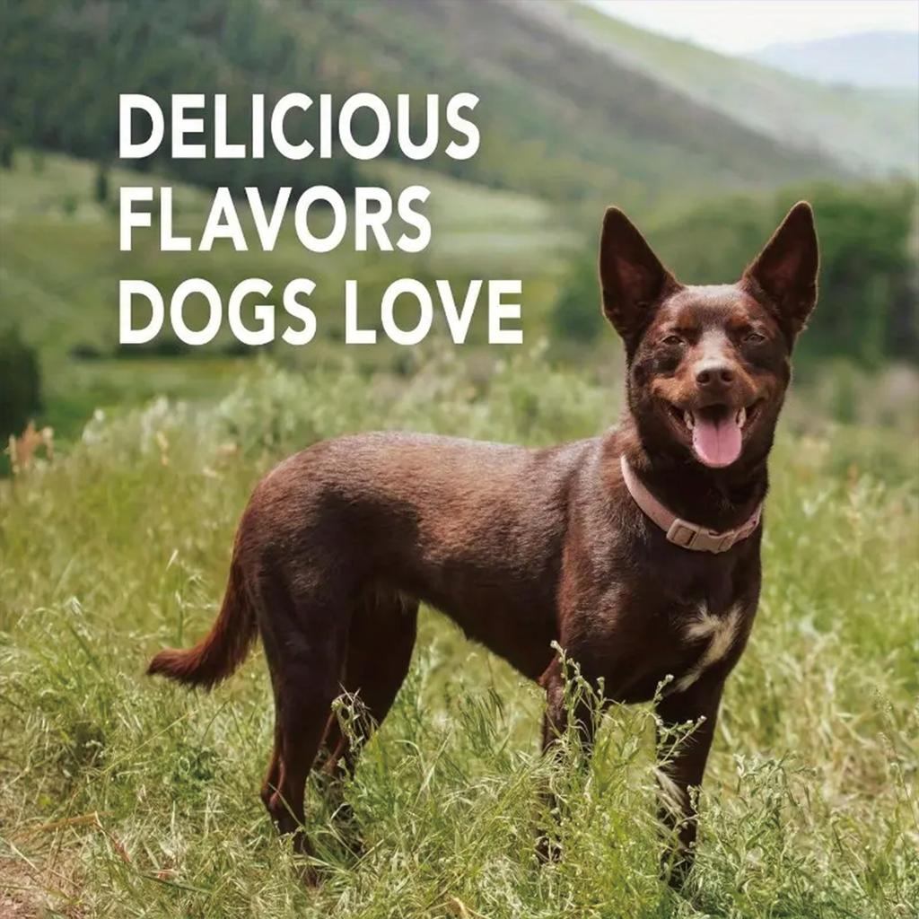 Pet Tooth Powder Has No Harmful Additives, Gently Cleans Without Harming Pets, and Is Suitable for Long-term Daily Use