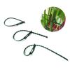 30 Pcs Green Adjustable Plant Ties Flexible Garden Plant Tie Multi-Function Sturdy Garden Plant Twist Tie Plastic Garden Ties Plant Support Tree Shrub