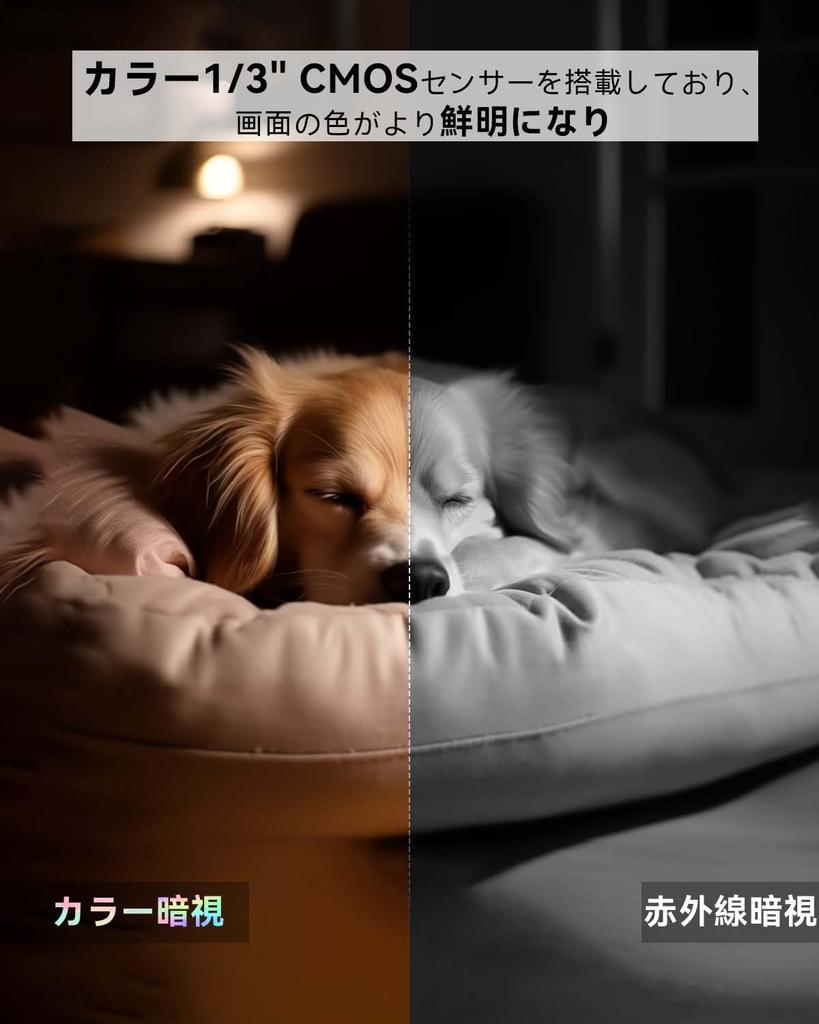 Новейшая цветная ночная камера для наблюдения за домашними животными камера наблюдения камера безопасности внутренняя камера автоответчика blurams автоматическое отслеживание обнаружение человека PTZ