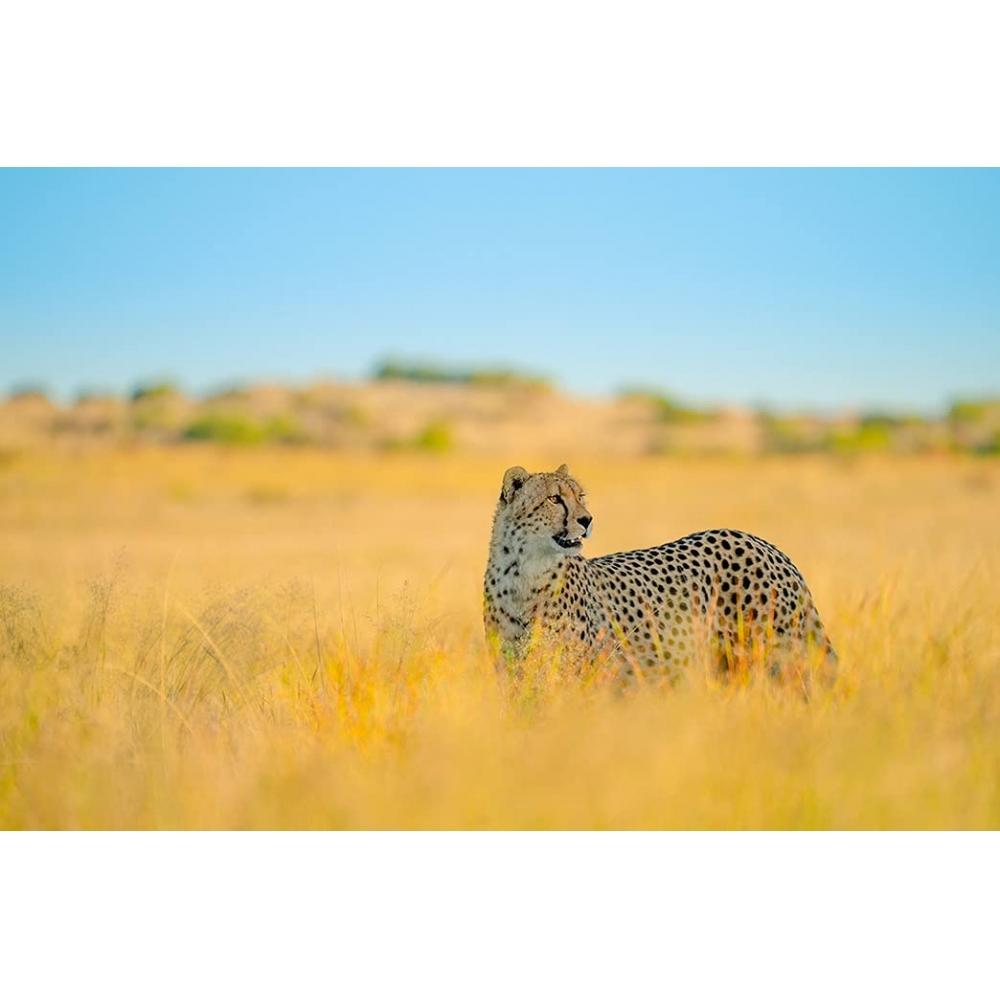 Tamron 150-500mm F5-6.7 Di III VC VXD for Sony E Mount (Model A057)