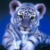 50x50cm Diamond Painting New Animal 5D DIY Diamond Embroidery Cross Stitch Tiger Pictures Of Rhinestones Mosaic Craft Kit