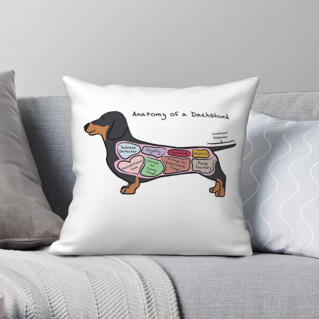Anatomy Of Dachshund Square Pillowcase Polyester Linen Velvet Creative Zip Decor Bed Cushion Cover