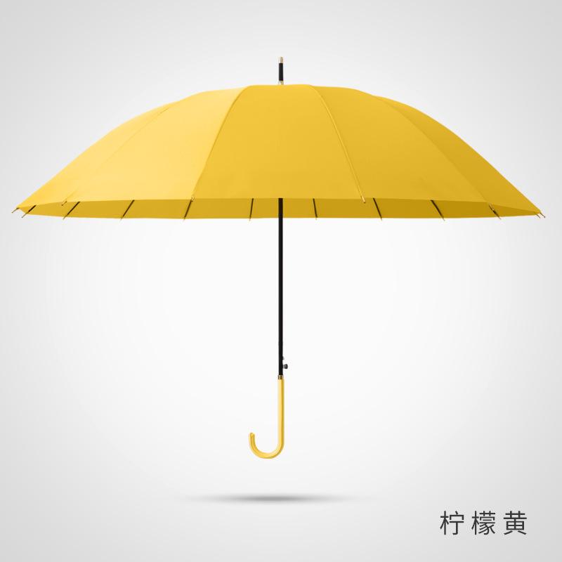 Зонт 16 костей зонт с длинной ручкой, литературный маленький свежий прямой зонт с рисунком