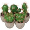 Simulation Foam Cactus/Cactus Potted Plant, Micro-Landscape Office Home Decoration Diy Simulation Potted Plant