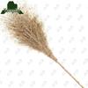 Heavy-Duty Leaf-Free Bamboo Broom
