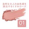 CEZANNE Cheek Blush - All 5 Colors