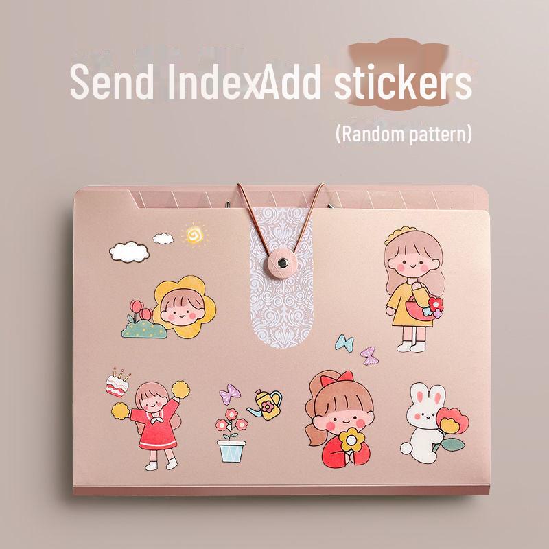 Симпатичная прозрачная папка-гармошка с 12 отделениями для документов формата А4 и студенческих работ