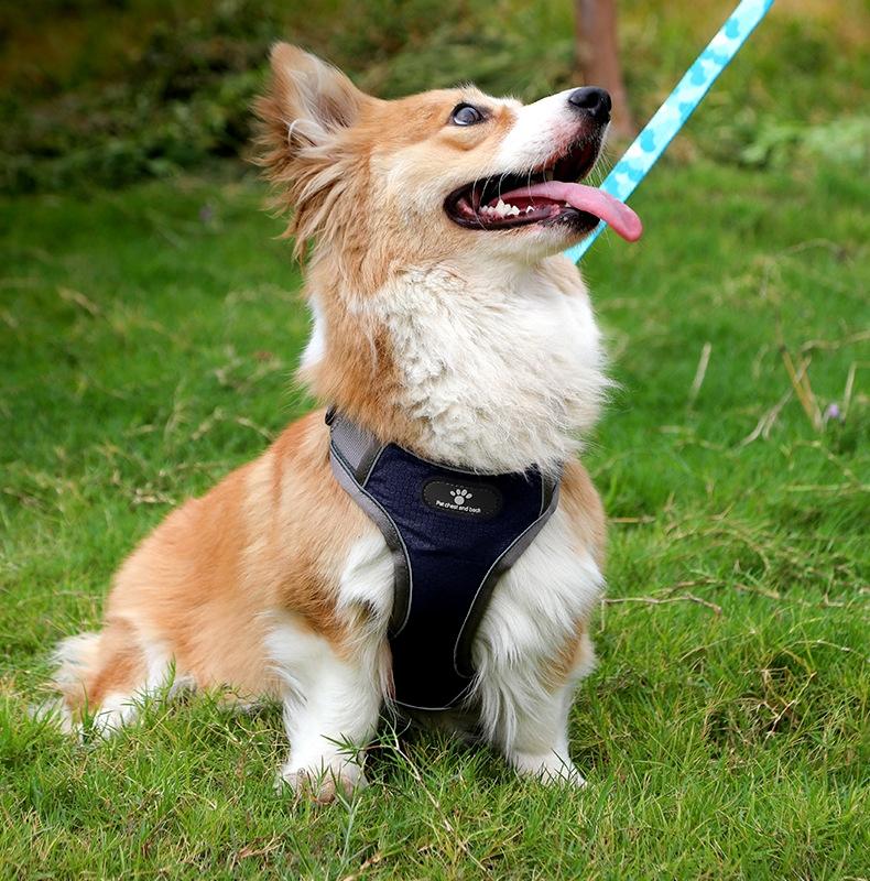 Astro Navy Blue Dog Training Harness For Walking, Size S