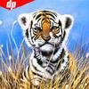 5D DIY Full Round Animal Tiger Diamond Painting Embroidery Sale Diamond Mosaic Picture Of Rhinestone
