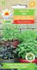 Basil Mix Varieties Seeds 1g Vegetables for the Garden Fresh Large Yields
