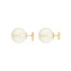 Dior Heart Shaped CD Logo Resin Imitation Crystal Metal Earrings Women earrings Gold E3766WOMCY-D03S
