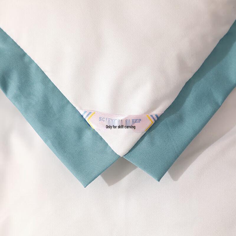You Meng Jia Ju Warm Feather Silk Duvet