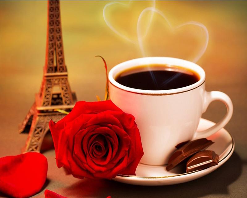 Алмазная картина кофе цветок пейзаж Приморский 5D DIY Алмазная вышивка распродажа тигр животное вышивка крестом стразы мозаика подарок ручной работы