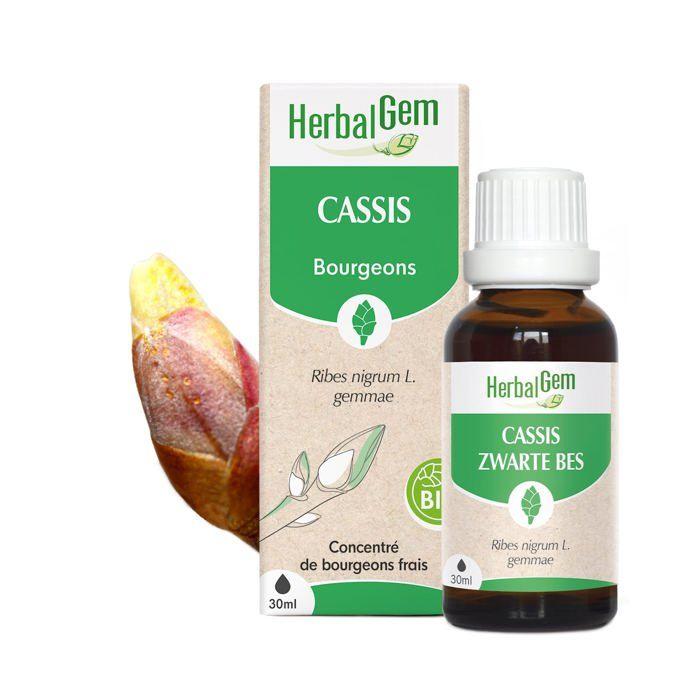 Herbalgem Macérat Concentré Cassis Bio 30ml