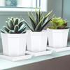 5Pcs Square Flower Pot Trays Plastic Catch Excess Water Soil Spills for Flower Pot Tray Indoor Plants