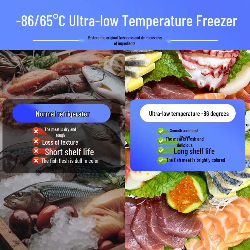 Zhongke Xileng Ultra-Low Temperature Deep Chest Freezer
