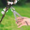 Pruning Branches Garden Bonsai Cutter Carbon Steel Horticultural Scissors  Gardening Tool