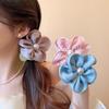 1pc Korean-style Lace Edge Hair Ring, Large Intestine Ring for Autumn and Winter Hair Updo, Female Hair Accessory.