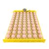 Automatic Egg Turning Tray 70 Eggs Quiet Egg Incubator Tray with Motor for Hatching