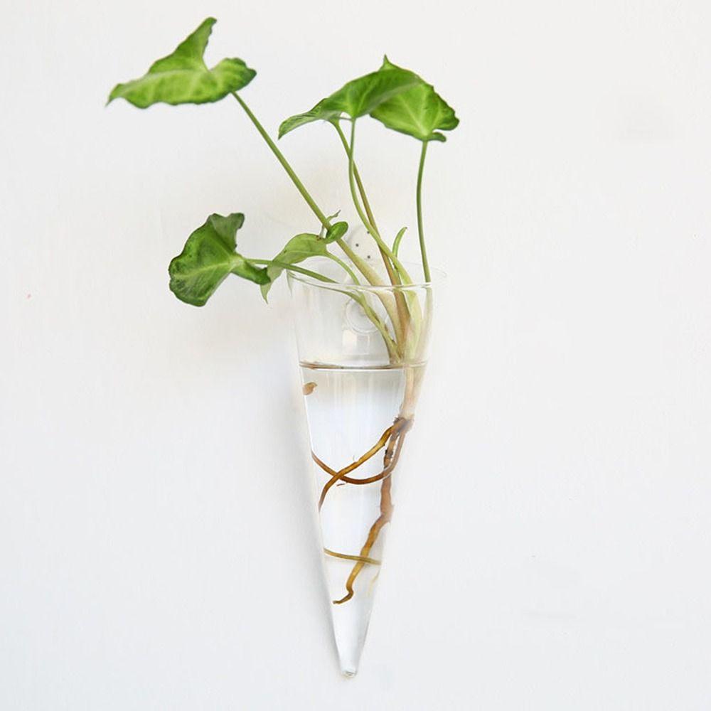 Transparent Wall Hanging Vase Hydroponics Plants Flowerpot Plant Propagation Vase  Wall Decor