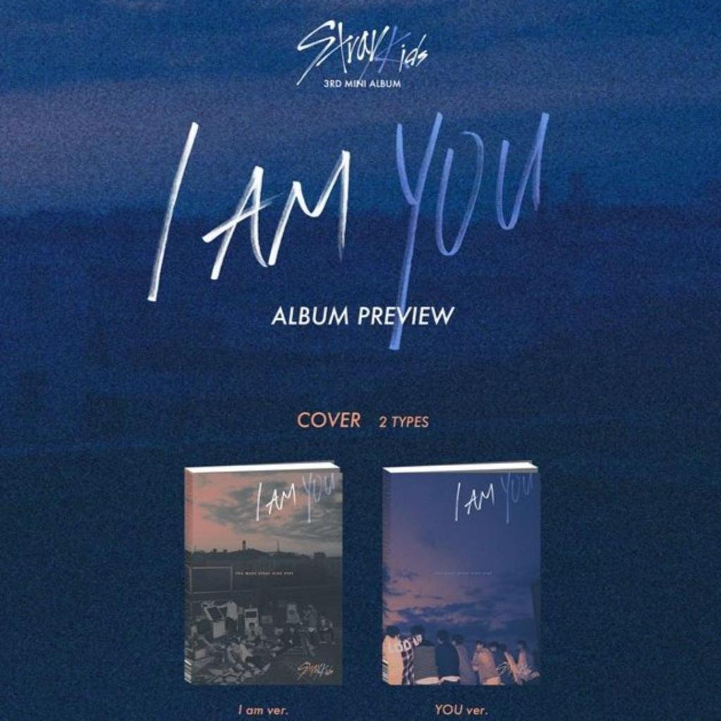 Stray Kids Я Ты Альбом