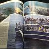 [USED] Whales Photo Books Foreign Books Whales English Mammals Animals Sea Nature