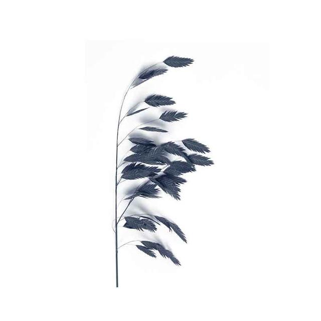 Blue Plant Leaf Poster Minimalist Flower Plant Wall Art Canvas Painting Nordic Living Room Home Decoration Picture Printmaking