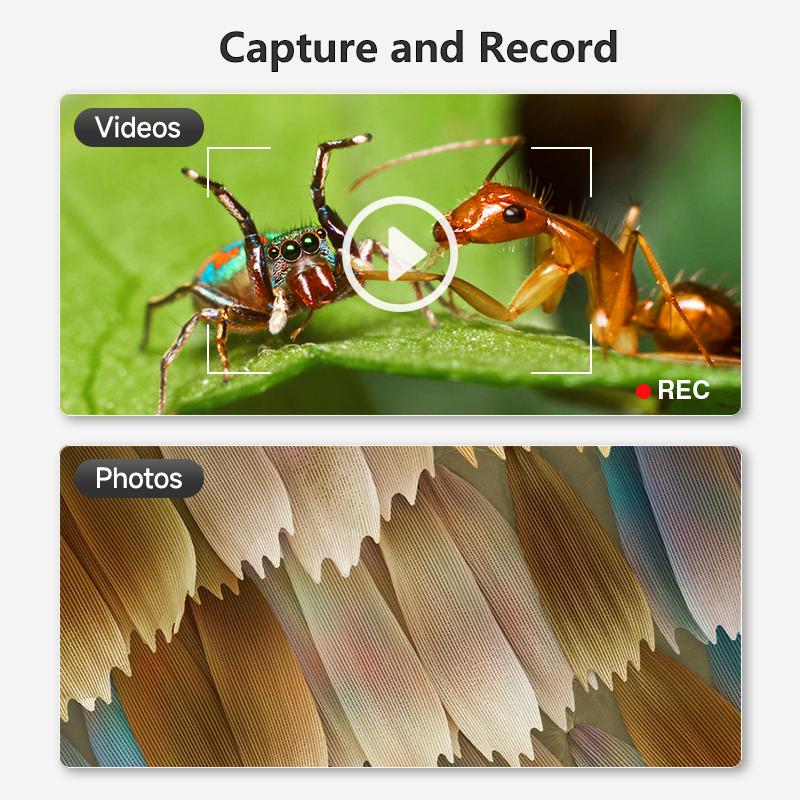 Цифровой ЖК-микроскоп, 4,3-дюймовый IPS-экран, 1000-кратное увеличительное стекло, 8 светодиодных дисплеев, совместимых с Windows