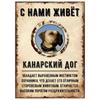 ОСТОРОЖНО СОБАКА Забавная Шнауцер Металлическая Табличка Декор для Питомца 20x30см