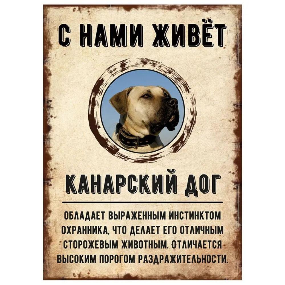 ОСТОРОЖНО СОБАКА Забавная Шнауцер Металлическая Табличка Декор для Питомца 20x30см