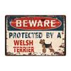 [ WellCraft ] Dog Beware Protected By A Borzoi Metal Sign Tin Poster Home Decor Bar Wall Art Painting 20*30 CM Sizer DB-12