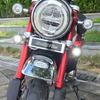 LED Fog Lamp for Honda Monkey 125 (White)