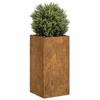 VidaXL Rusty Planter 40x40x80 Cm Stainless Steel, Flower Pot, Plant Stand, Raised Bed, Stand of 860709