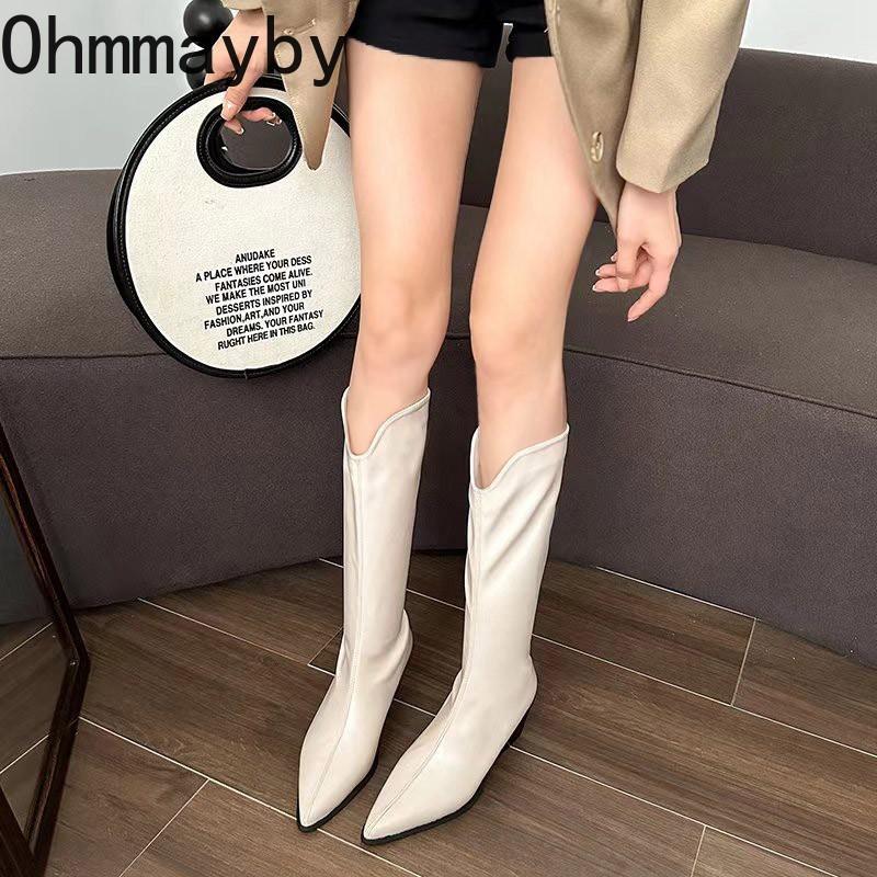 Уличный стиль, дизайнерские женские сапоги до колена, модные, с острым носком, длинные, с квадратным каблуком, обувь на осень-зиму
