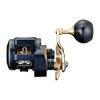 Daiwa 21 Салтига IC 300L