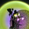 RGB-лампа заката, ambient-освещение для фотосъемки, ночник, светодиодная лампа настроения с регулируемой яркостью, декоративная лампочка с меняющимися цветами, для гостиной, спальни