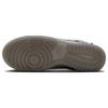 Nike Dunk Low Be True to Your DNA — серые кроссовки унисекс многоцветные FV3617-001