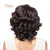 Tenfyer Fashion Short Curly Wig Synthetic Fiber Charming Women Daily Party Hairpiece