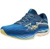 Mizuno Wave Rider 27 Amsterdam беговые кроссовки